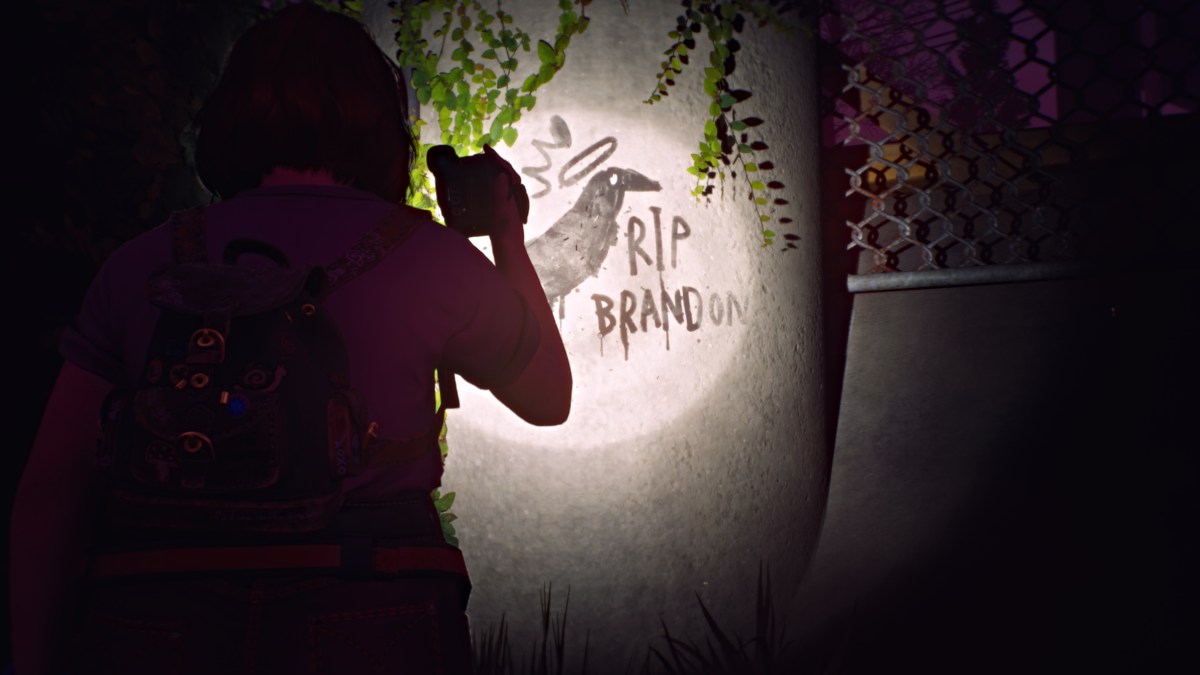 Rip Brandon graffiti in Lost Records Bloom and Rage