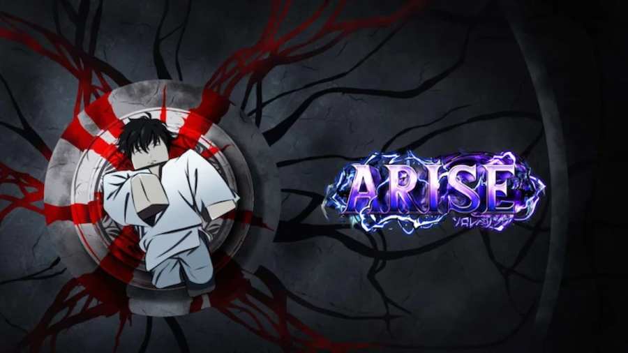 A player in Arise Crossover