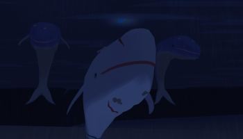 A set of Whales in Fisch