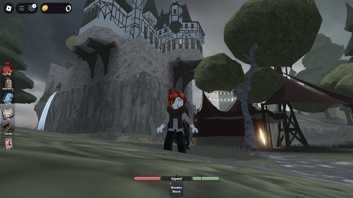 In-game screenshot of Wizard West.