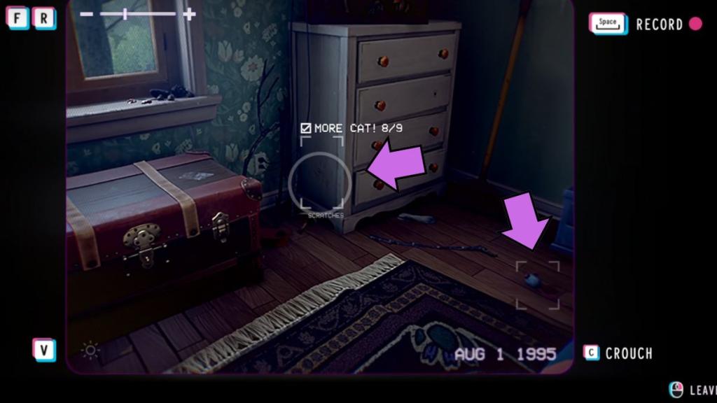 More Cat! Memoirs in Lost Records Bloom and Rage