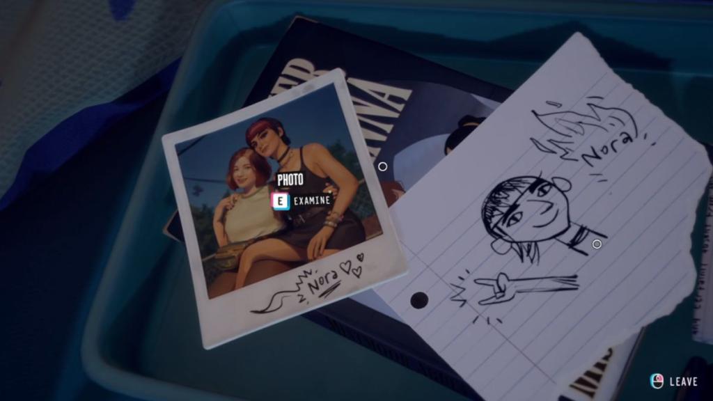 Secret Stash in Lost Records Bloom and Rage