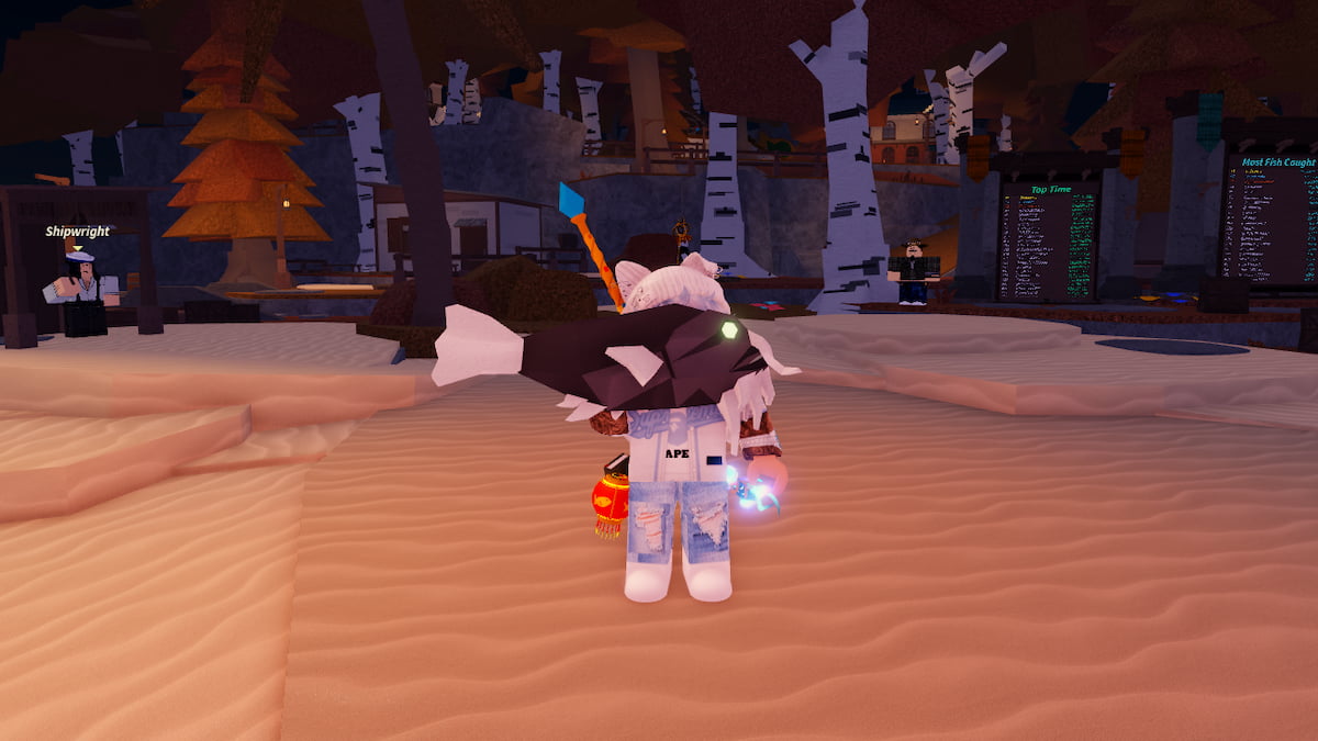 Splendid Toadfish in Fisch