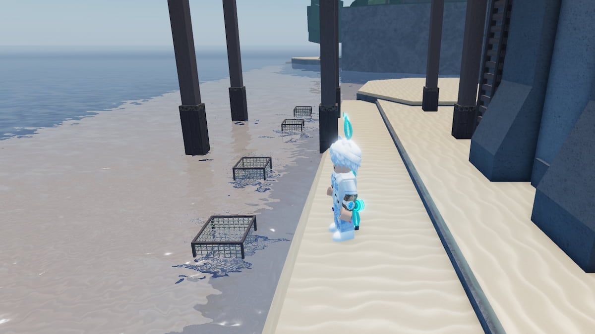 Several Crab Cages in Fisch