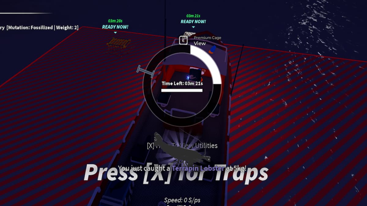 The Fishing Mini-game