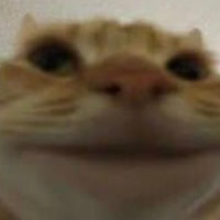 Roblox Decal IDs Spray Paint Codes March 2026 50 Working IDs Roblox Cat Meme 