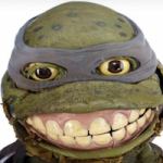 The Ninja Turtle Decal in Roblox