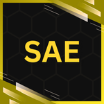 Sae style in Egoist Rematch Roblox experience.