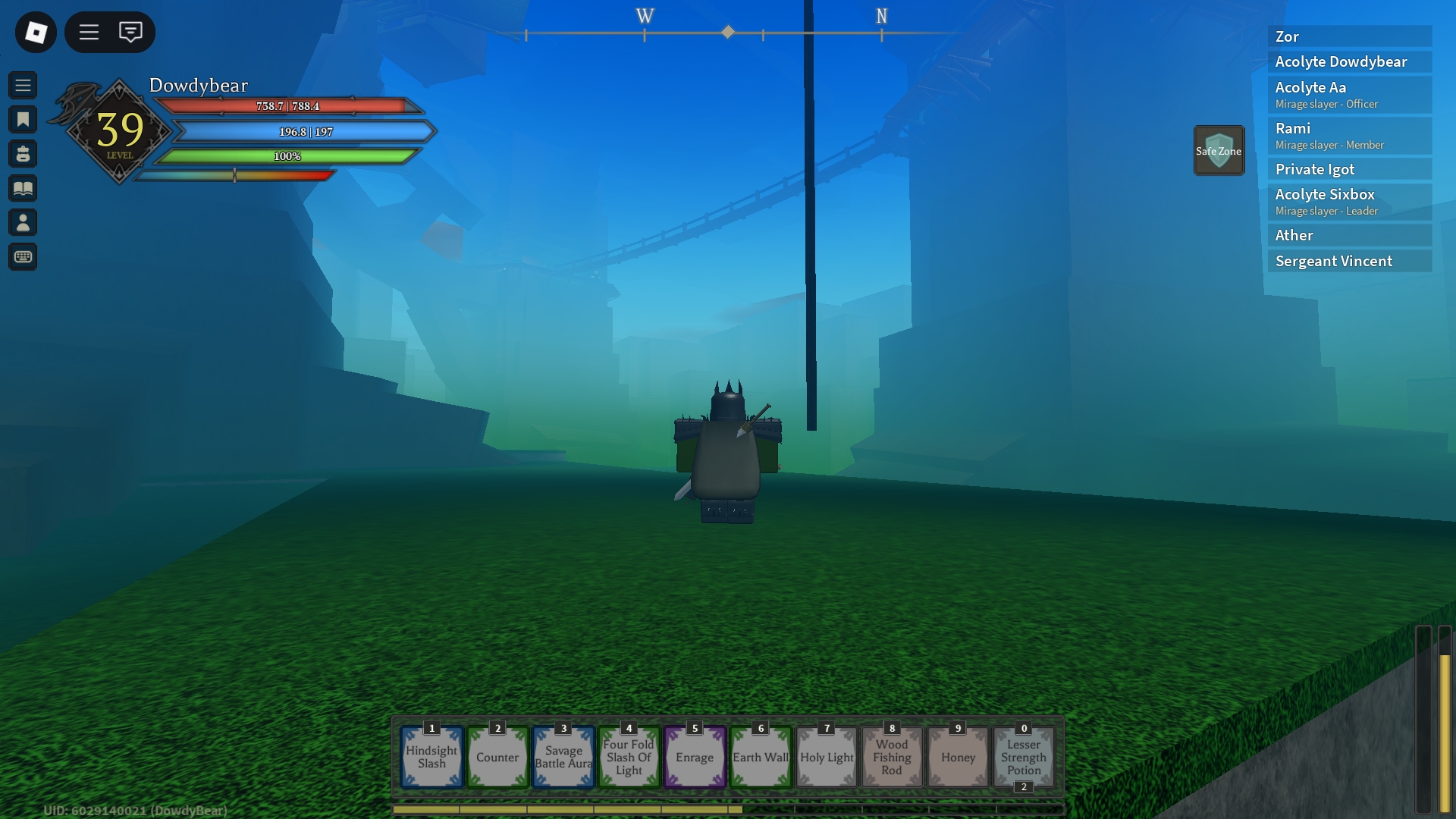 A Rune Slayer player is standing in front of the rope to Ashenshire