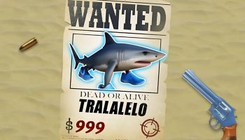 Brainrot Sails codes