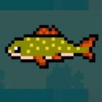 Nice Day for Fishing Common Carp