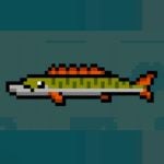 Nice Day for Fishing Picky Pike