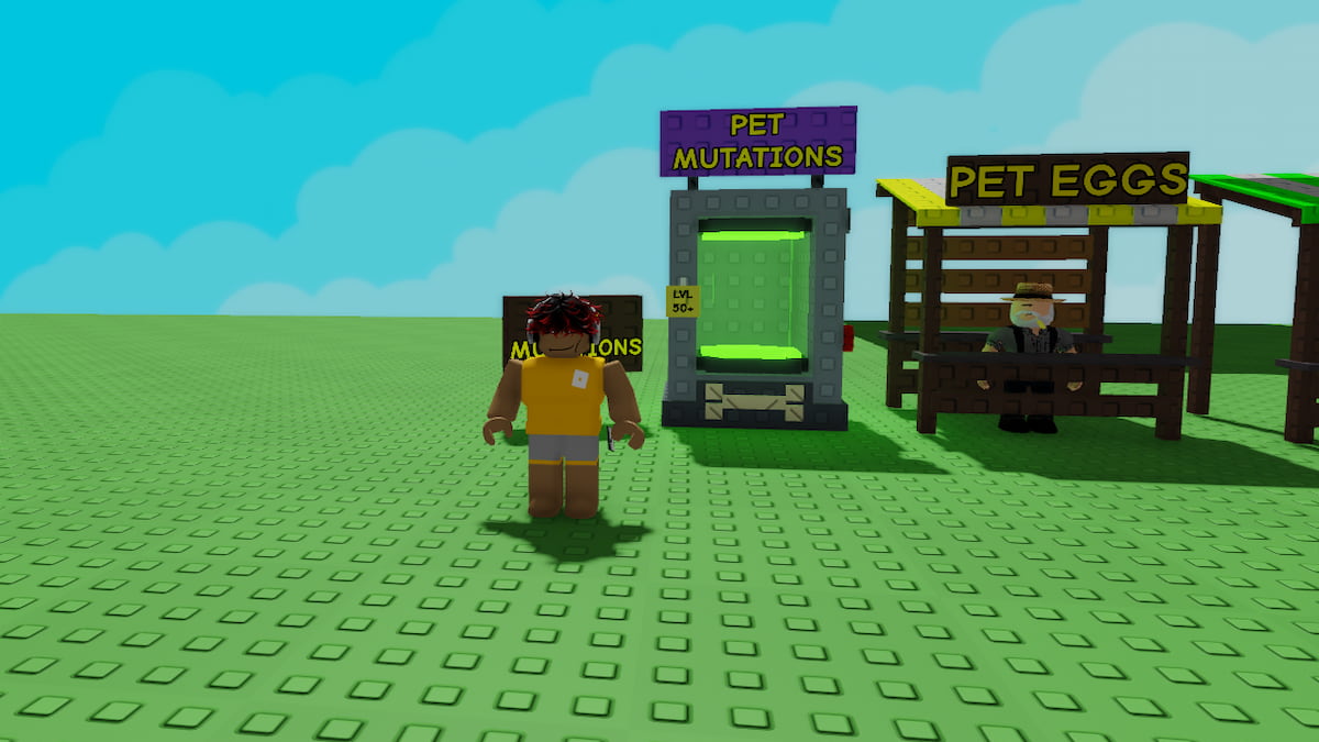 A player standing near a Pet Mutation Machine