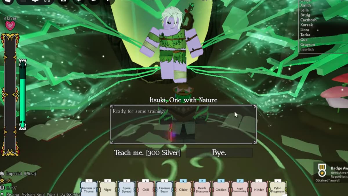 Druid Ultra Class Trainer Location in Rogueblox