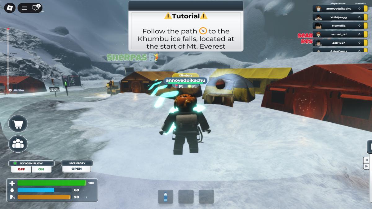 Mount Everest Climbing Roleplay