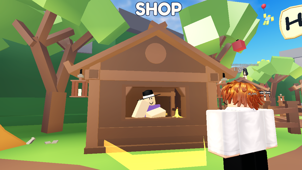 Shop to get Items in Hide the Body