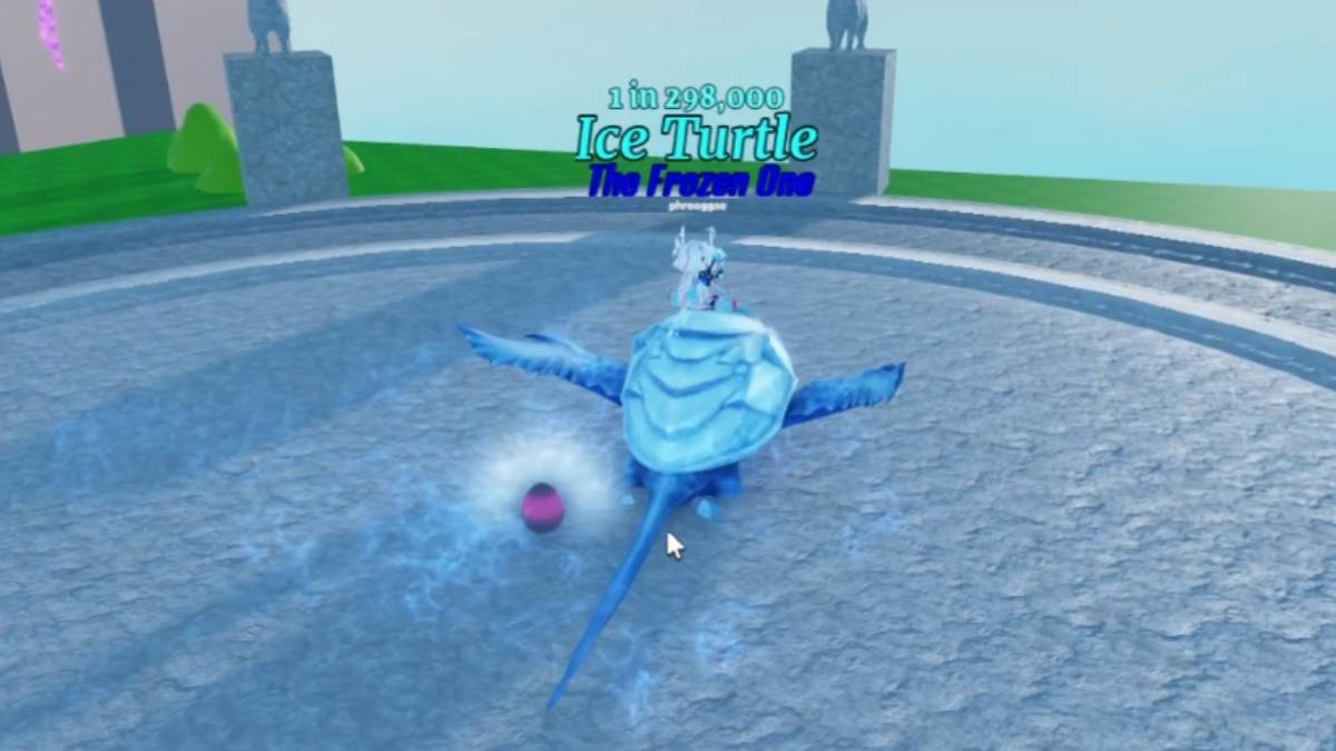 Egg in Mount RNG during the Hatch