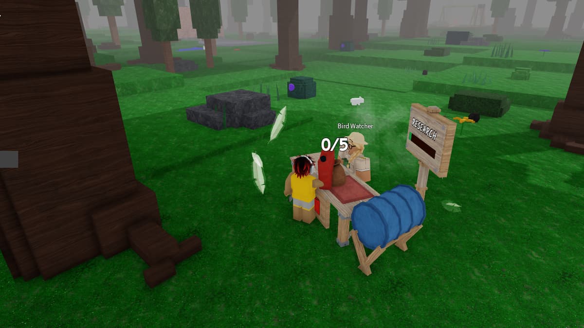 The Bird Watcher NPC