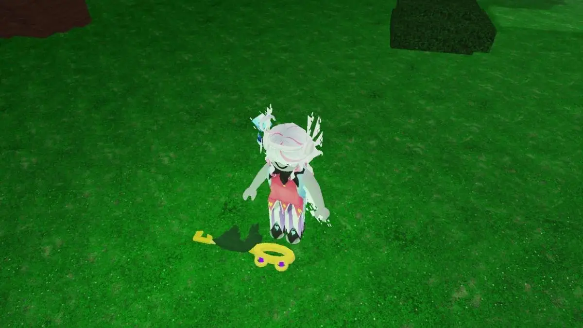 Frog Keys in the forest