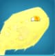 Pufferfish in Blox Fruits