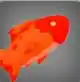 Redfin in Blox Fruits