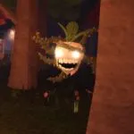 How to survive the Mandrake in DOORS