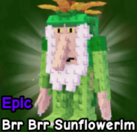 Brr Brr Sunflowerim