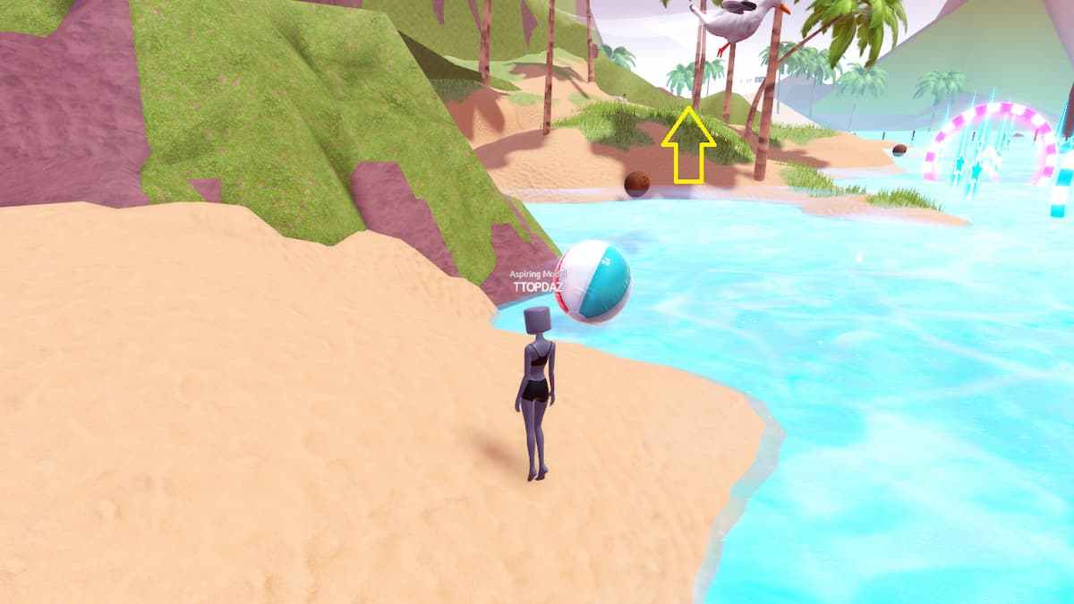 The Beach Ball in DTI