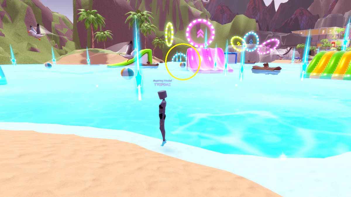 The Beach Mini-Game in DTI