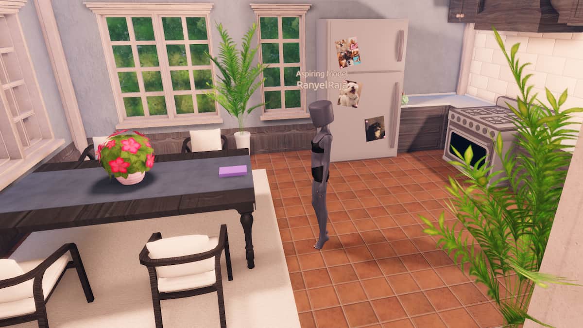 A pink book in Lana's House
