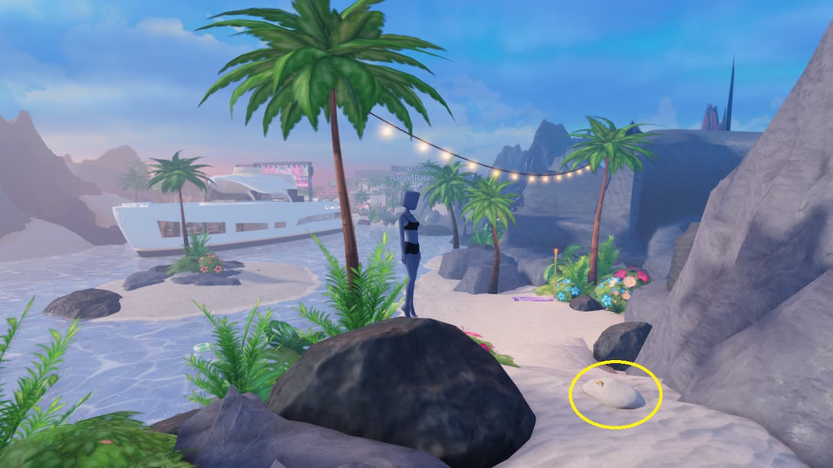 A small beach area