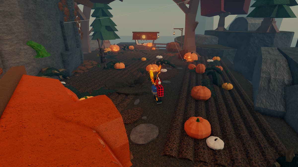 The Pumpkin Carving Area
