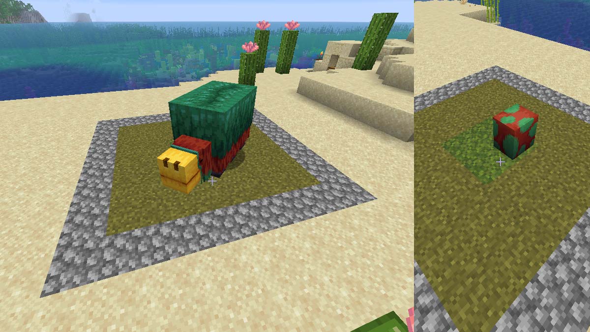 Minecraft Sniffer Farm Layout