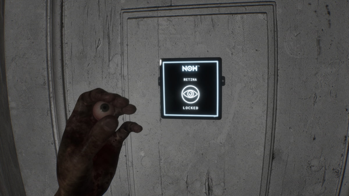 AILA Where to Find the Retina