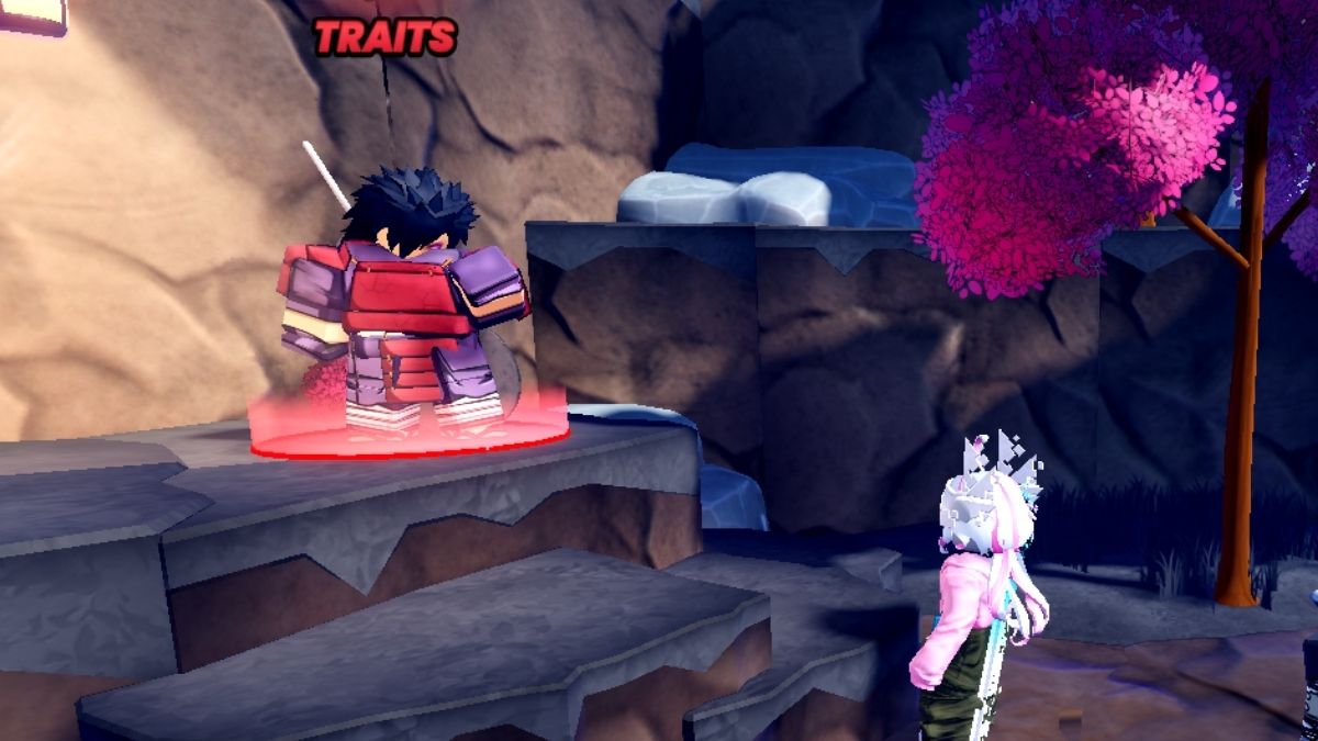 Anime Fight traits NPC