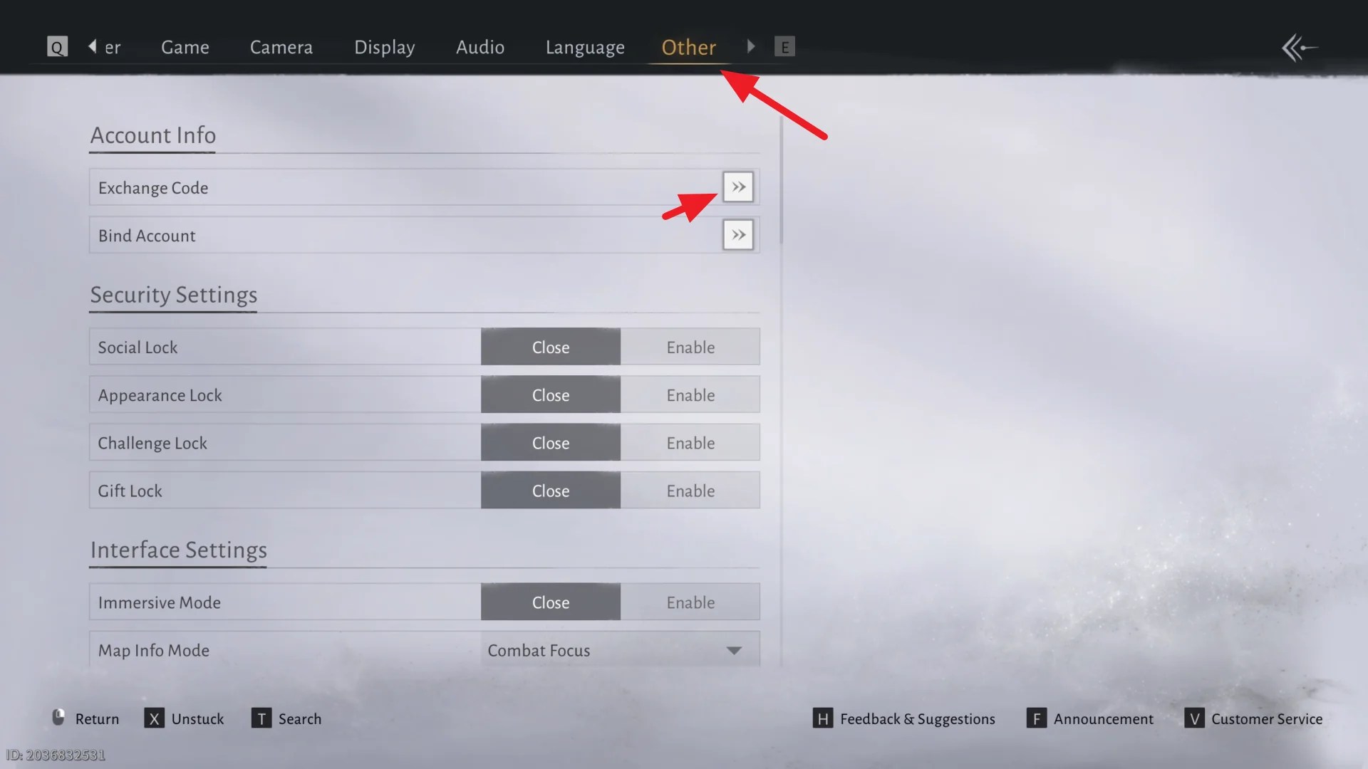 Second step to redeem Where Winds Meet codes: navigate to the "Other" section within the Settings menu and then click on the button next to the Exchange Code label.