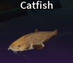 Catfish