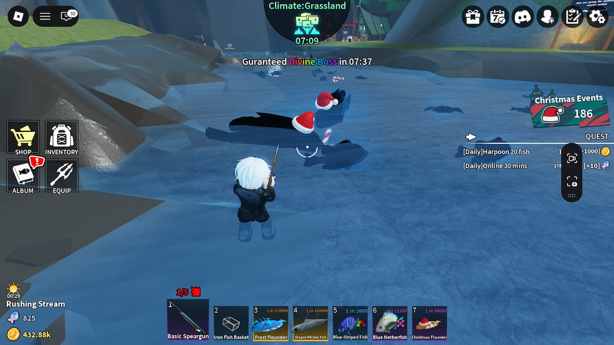 Christmas Fish in Spear Fishing