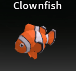Clownfish in Spear Fishing