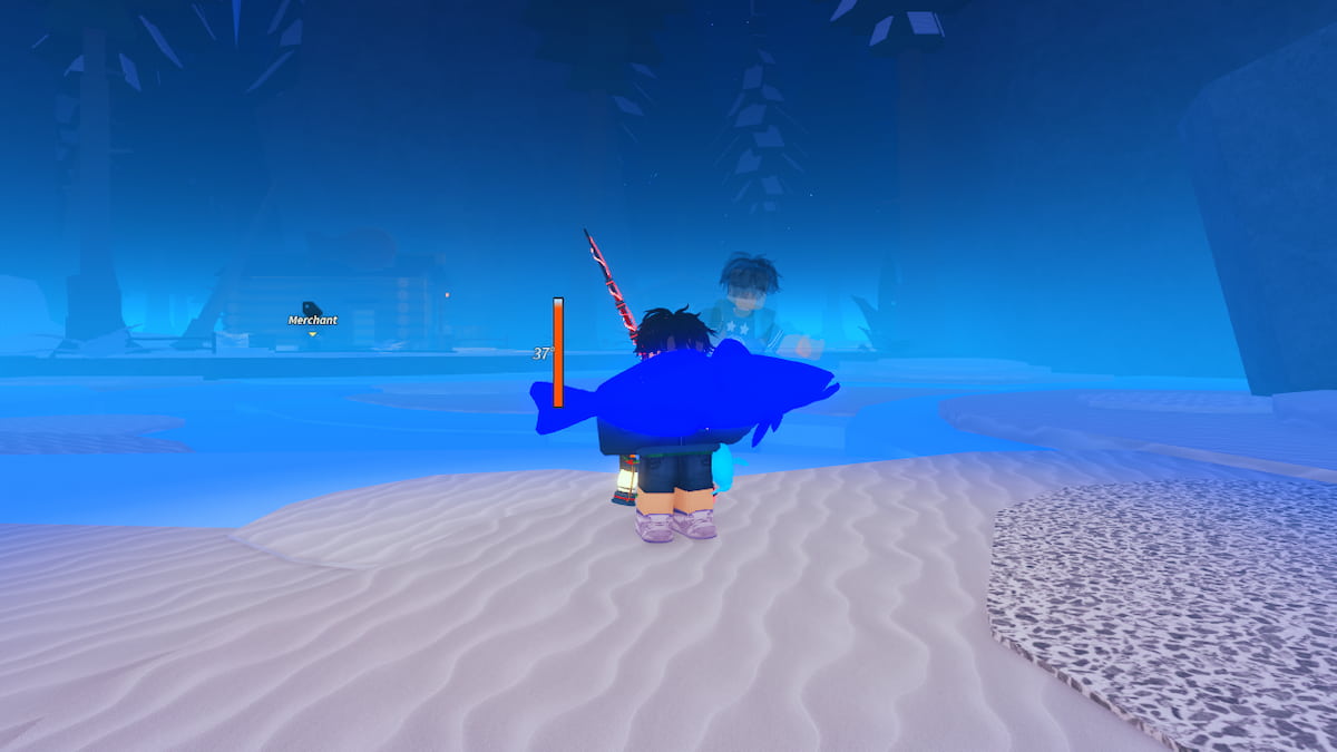 An Antartic Fish in Fisch