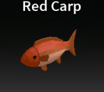 Red Carp