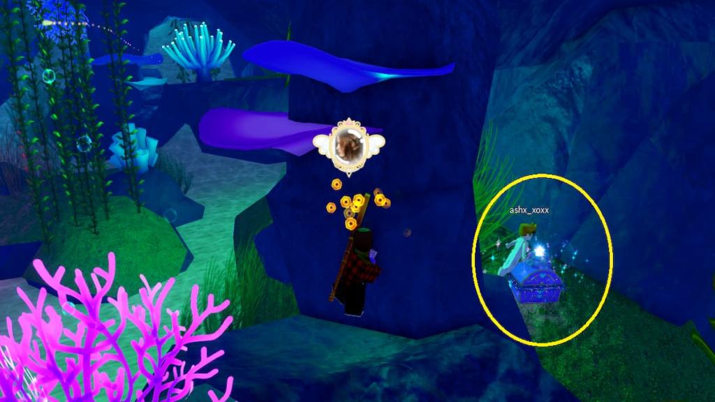 A Chest in Royale High