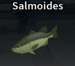 Salmoides
