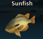 Sunfish