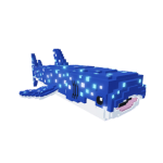 Whale Shark in Raise Animals