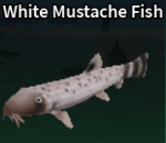 White Mustache Fish