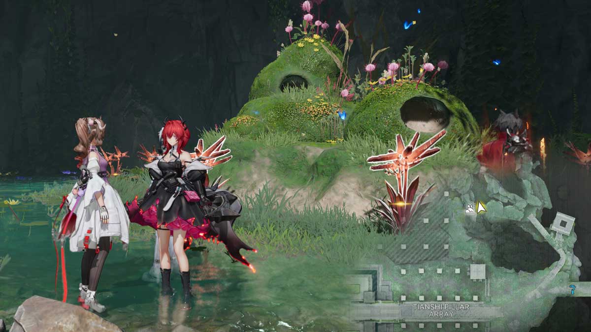 Arknights Endfield Rare Growth False Aggela