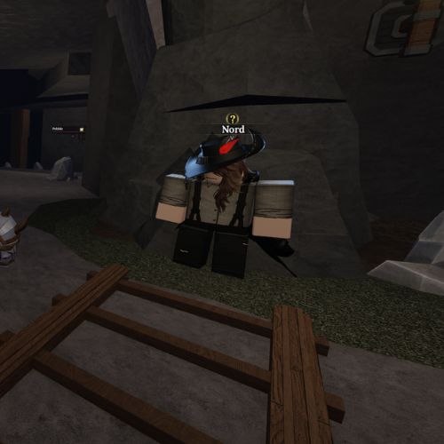 Nord NPC in Stonewake's Cross