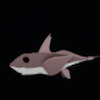 The Shortnose Chimaera Fish