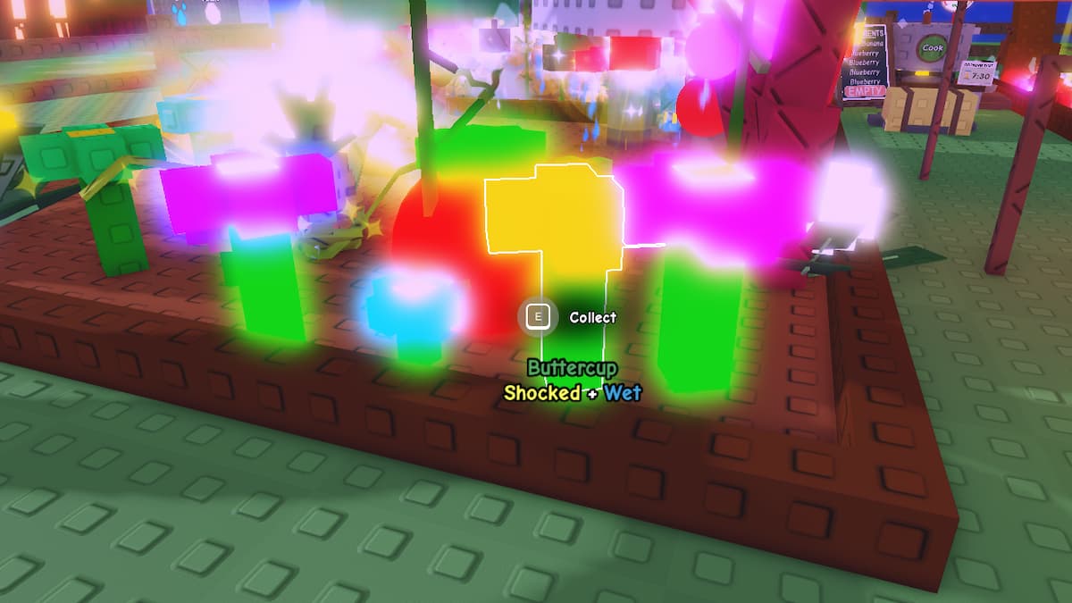 The Buttercup Plants in GAG